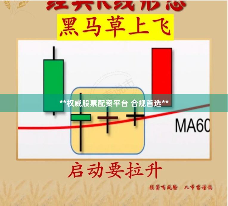 **权威股票配资平台 合规首选**