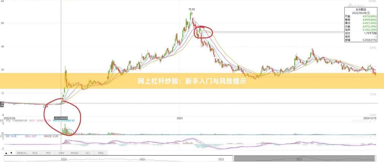 网上杠杆炒股:新手入门与风险提示
